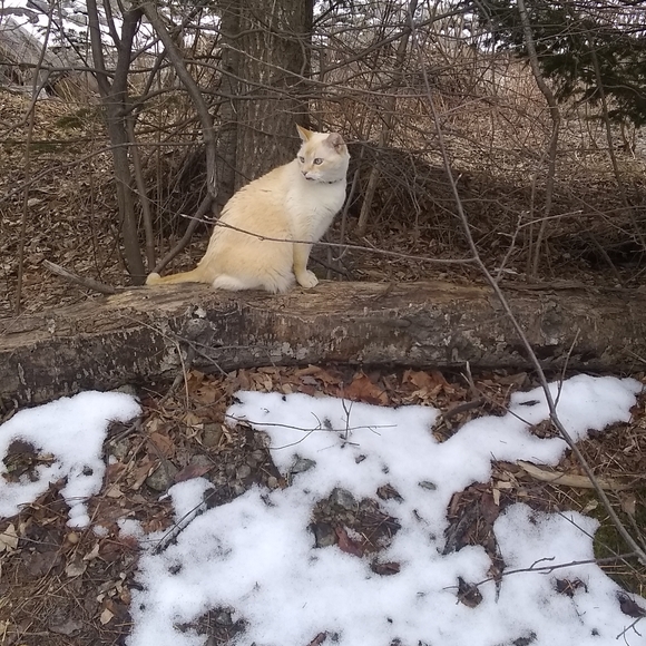 Meet your Posher, Christine - Picture 8 of 12